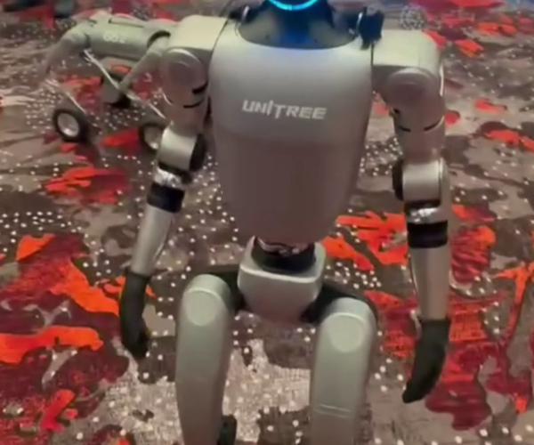 G1 (Unitree Robotics)